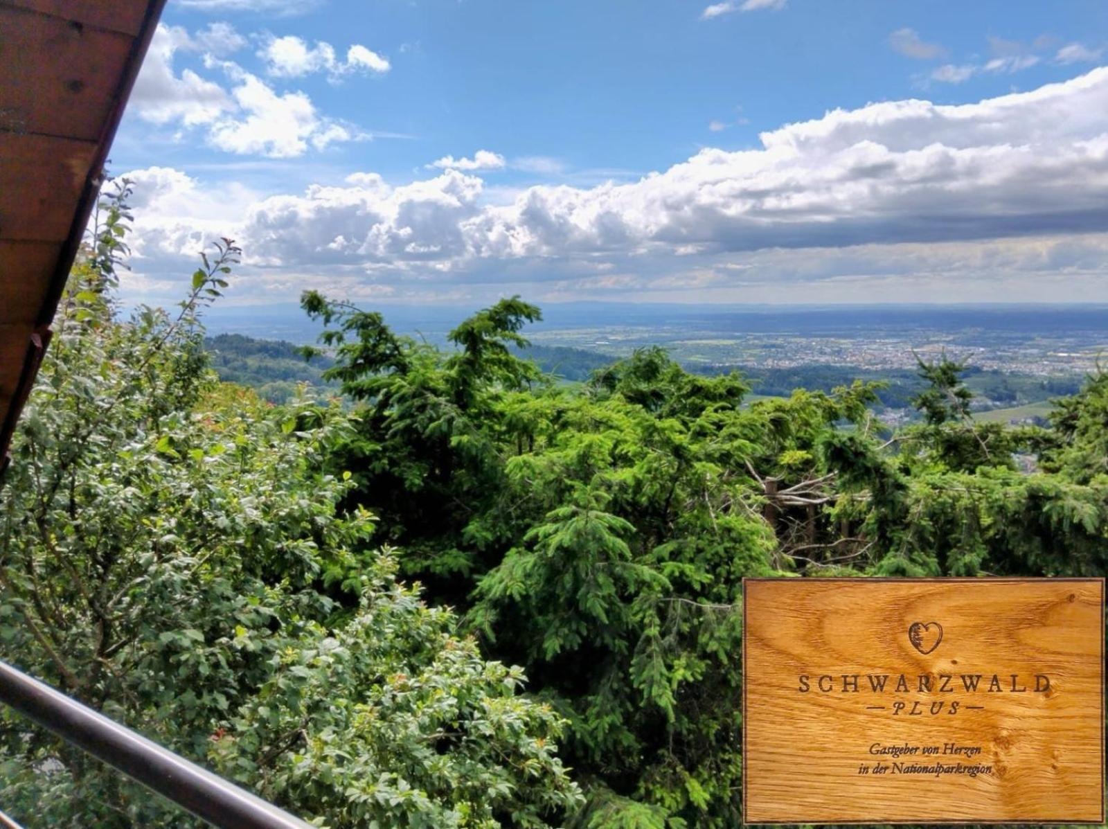 Haus "Guck - Ins - Tal" Lägenhet Sasbachwalden Exteriör bild