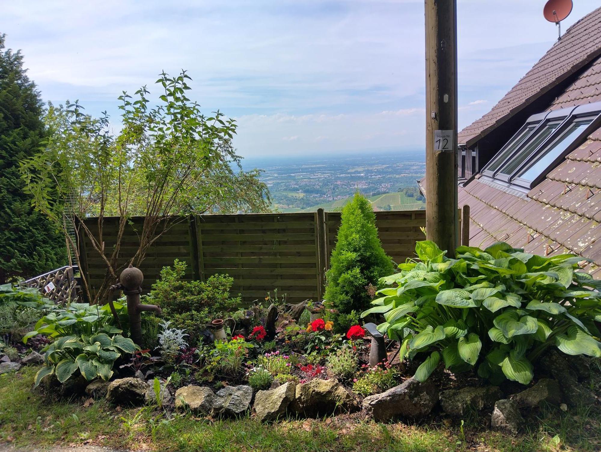 Haus "Guck - Ins - Tal" Lägenhet Sasbachwalden Exteriör bild