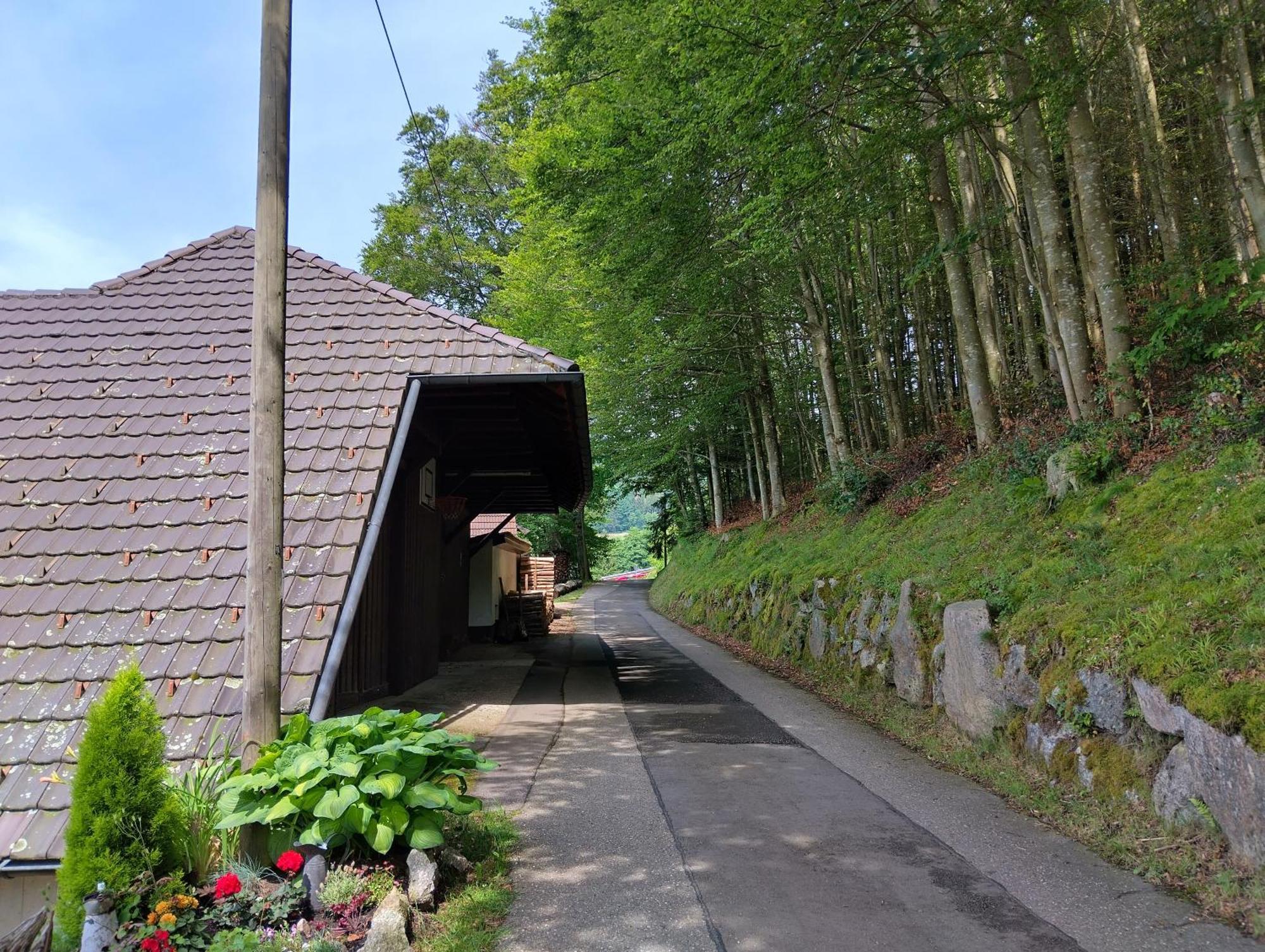 Haus "Guck - Ins - Tal" Lägenhet Sasbachwalden Exteriör bild
