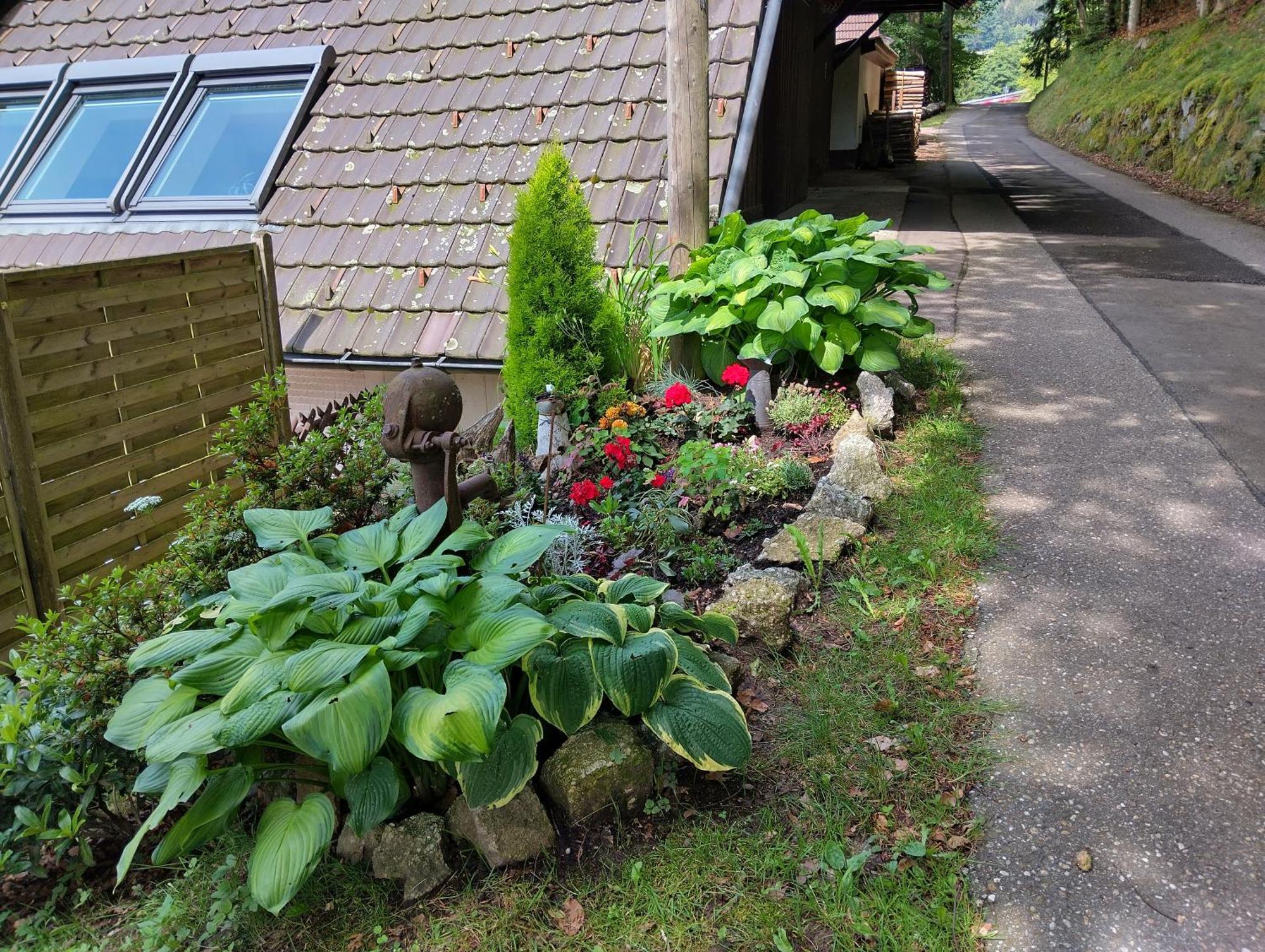 Haus "Guck - Ins - Tal" Lägenhet Sasbachwalden Exteriör bild