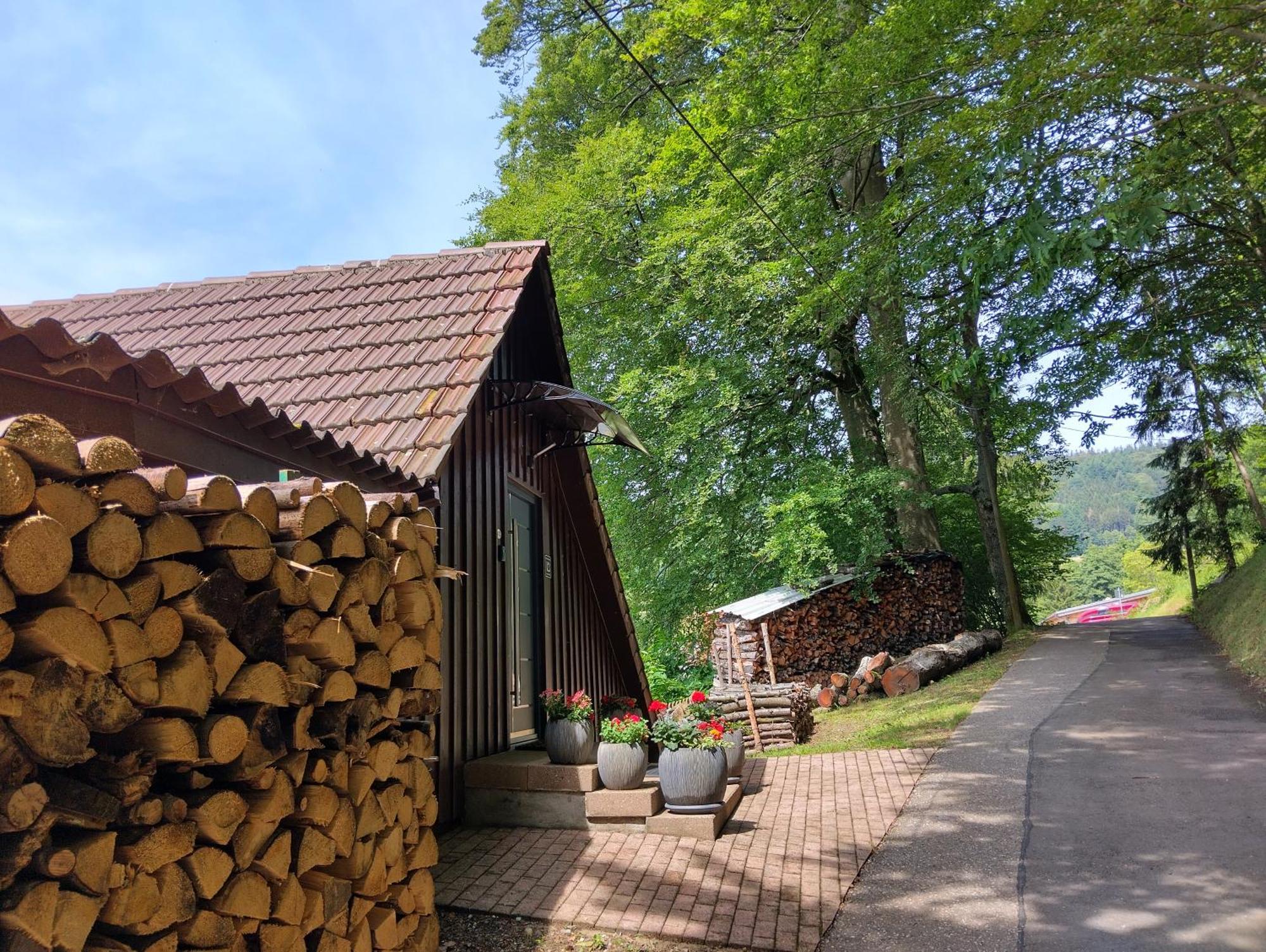 Haus "Guck - Ins - Tal" Lägenhet Sasbachwalden Exteriör bild