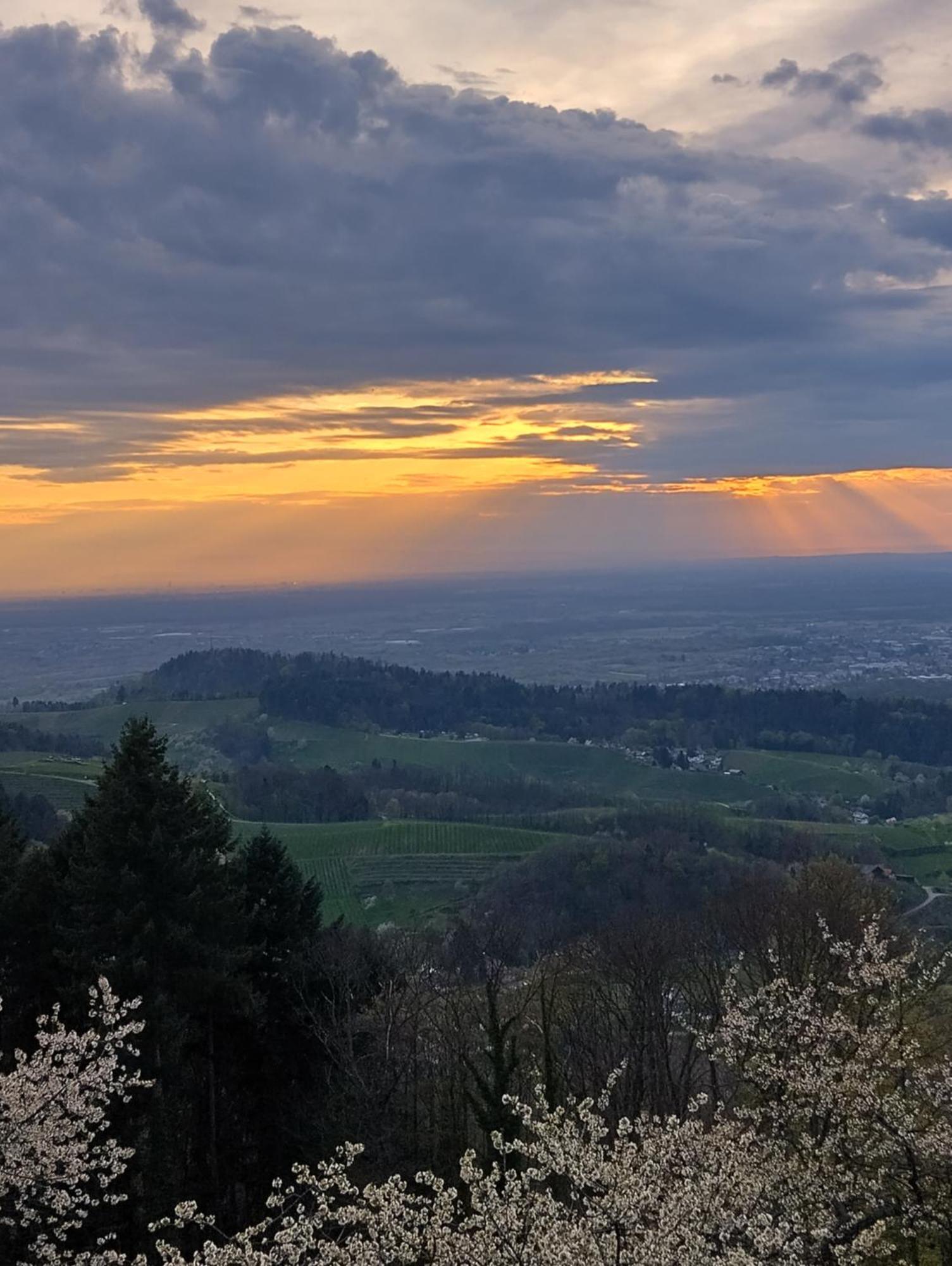 Haus "Guck - Ins - Tal" Lägenhet Sasbachwalden Exteriör bild
